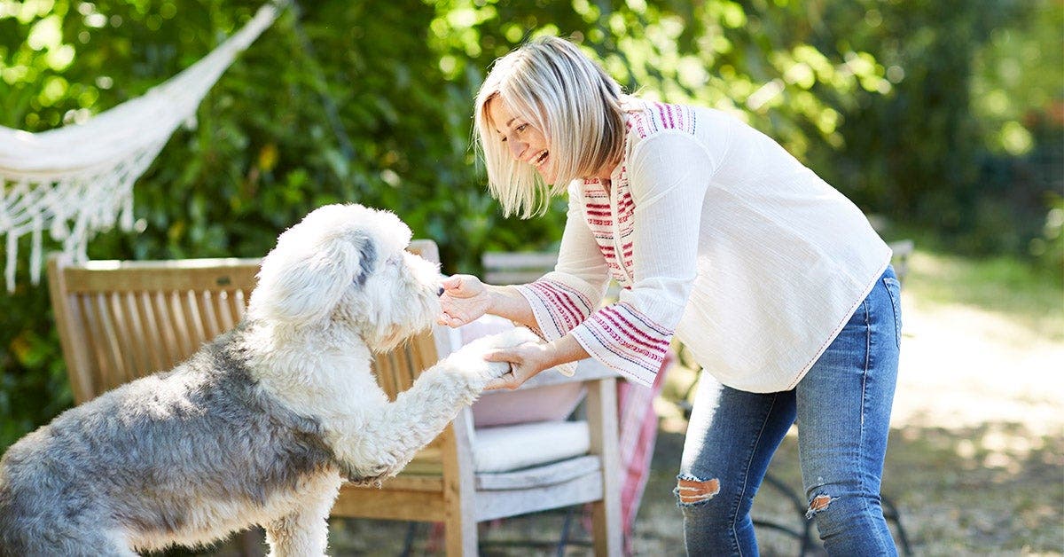 Health Benefits of Pets