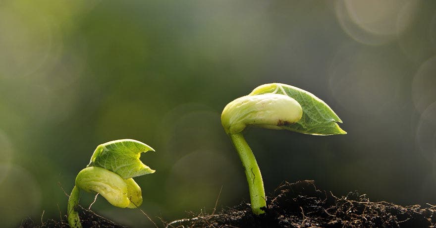 5 Ways to Be Better to the Planet