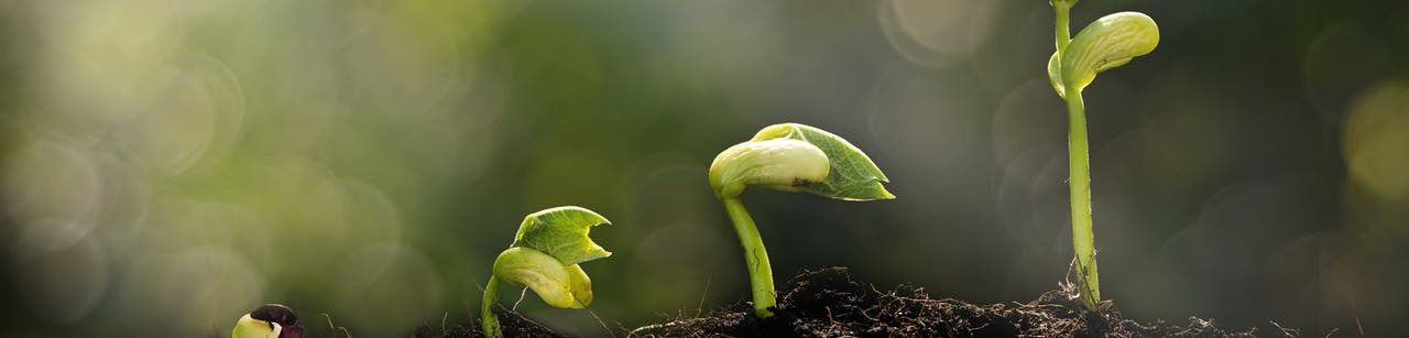 5 trucs pour prendre soin de notre planète
