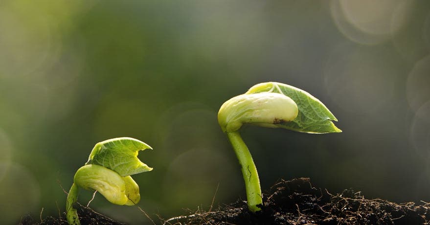 5 trucs pour prendre soin de notre planète