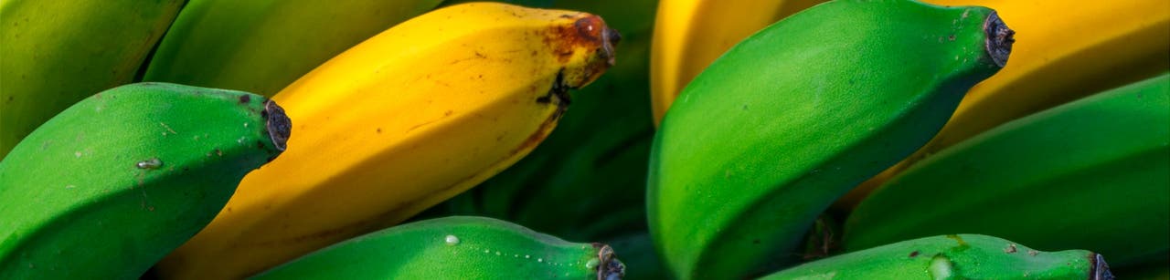 Plate, Meet Plantains