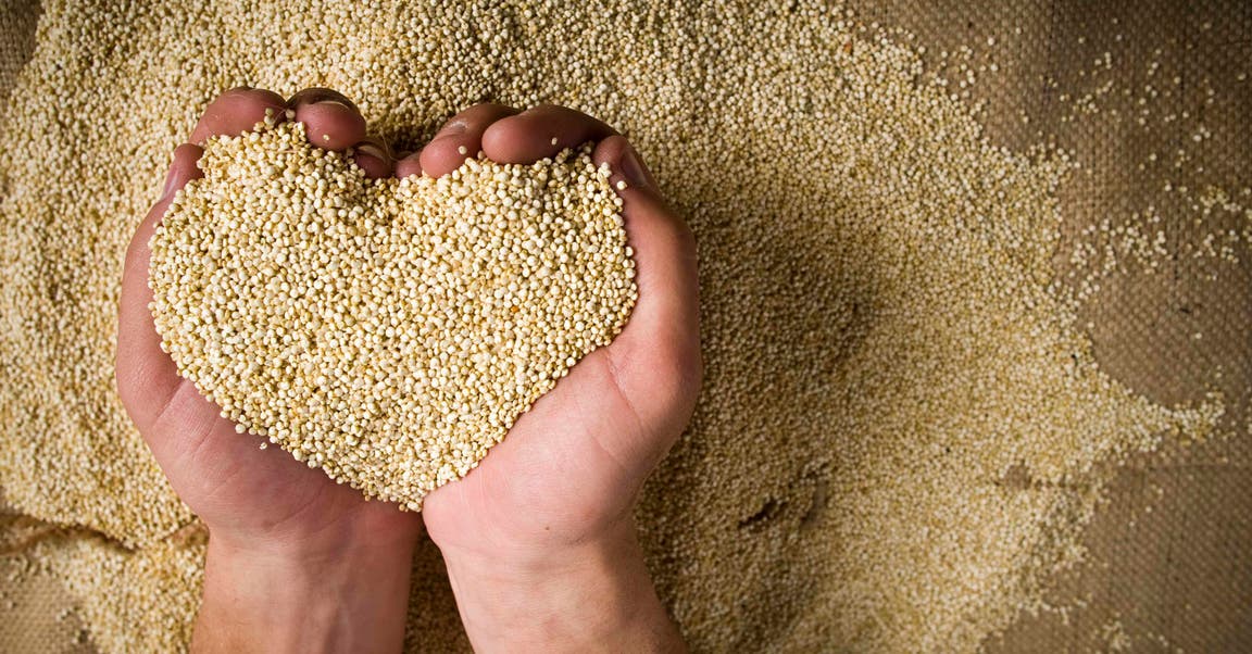 <strong>Le quinoa pique votre curiosité?</strong>