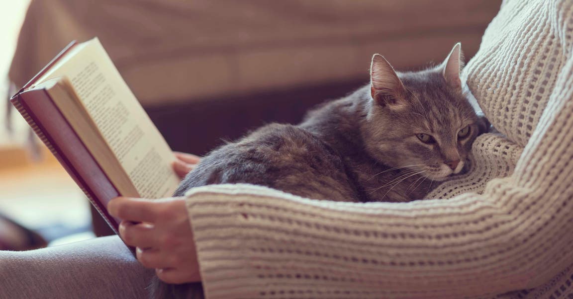 Why Reading May Help Your Stress Slip Away