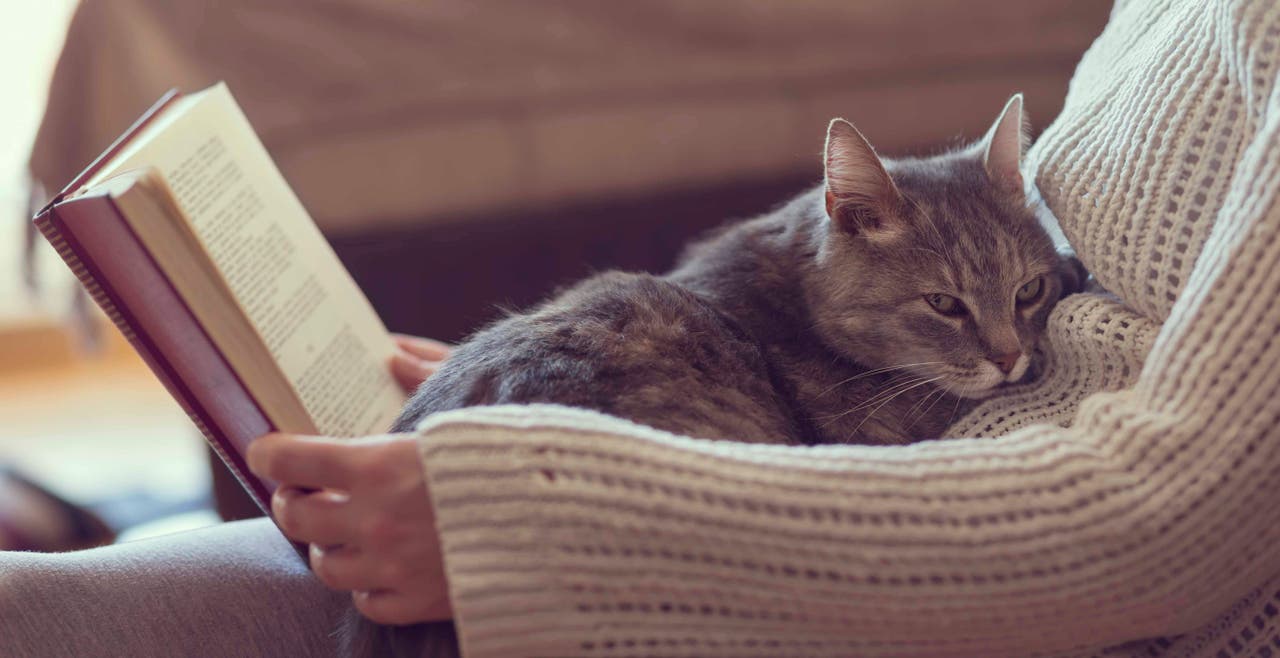 Why Reading May Help Your Stress Slip Away