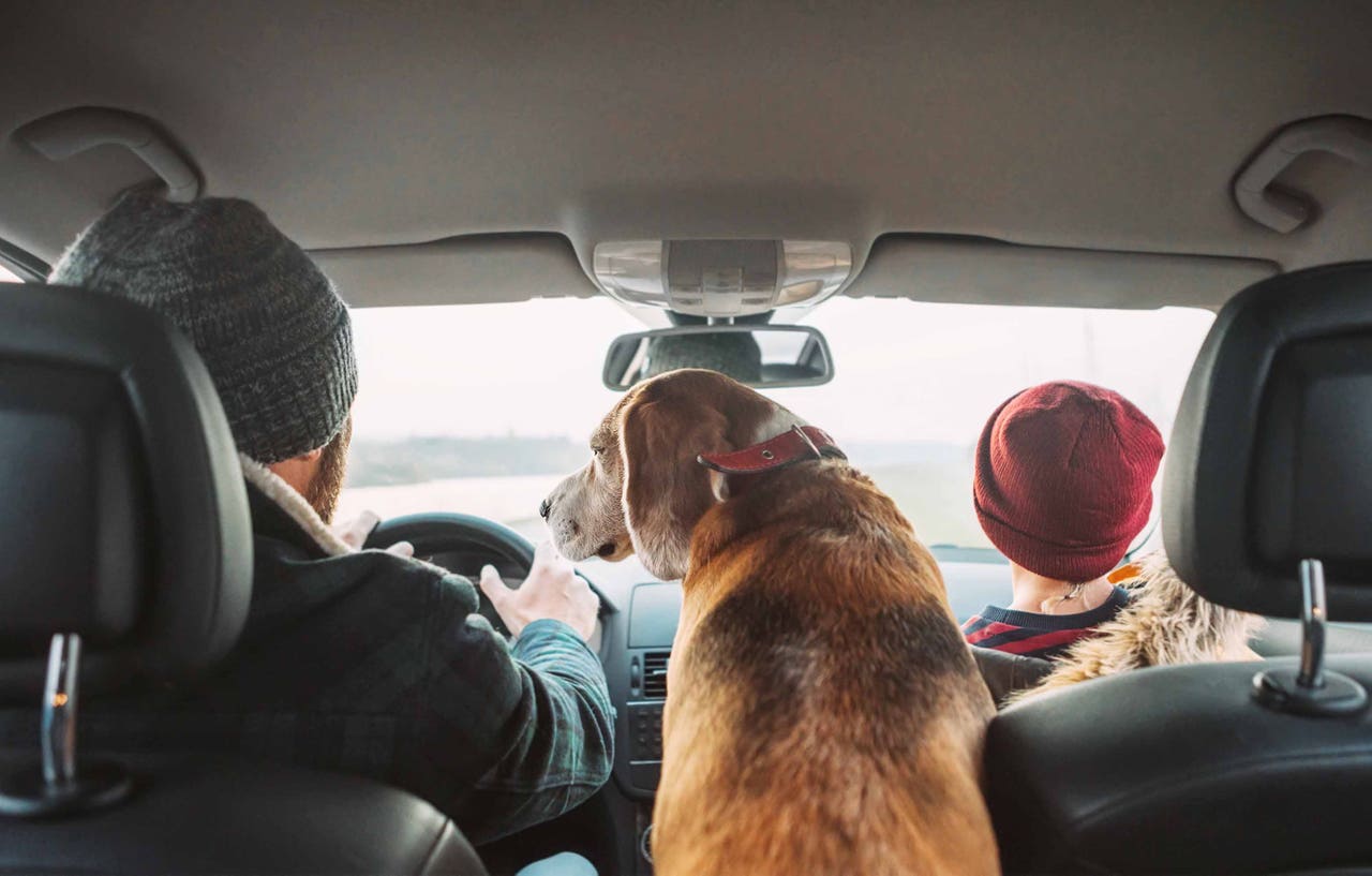Create a Road Trip Food Menu