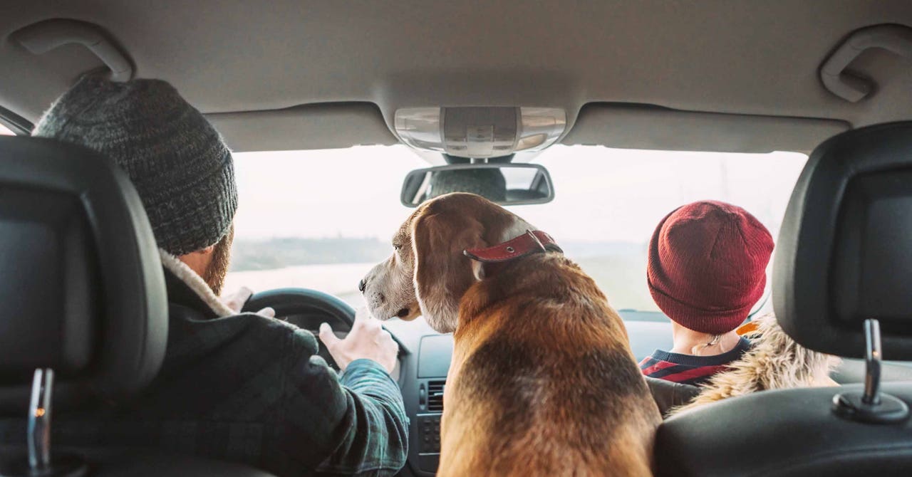 Create a Road Trip Food Menu