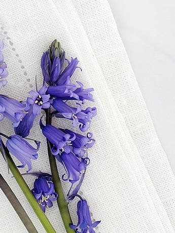 Set a Nature-Inspired Spring Table