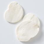 Fresh Mozzarella Fresh Mozzarella
