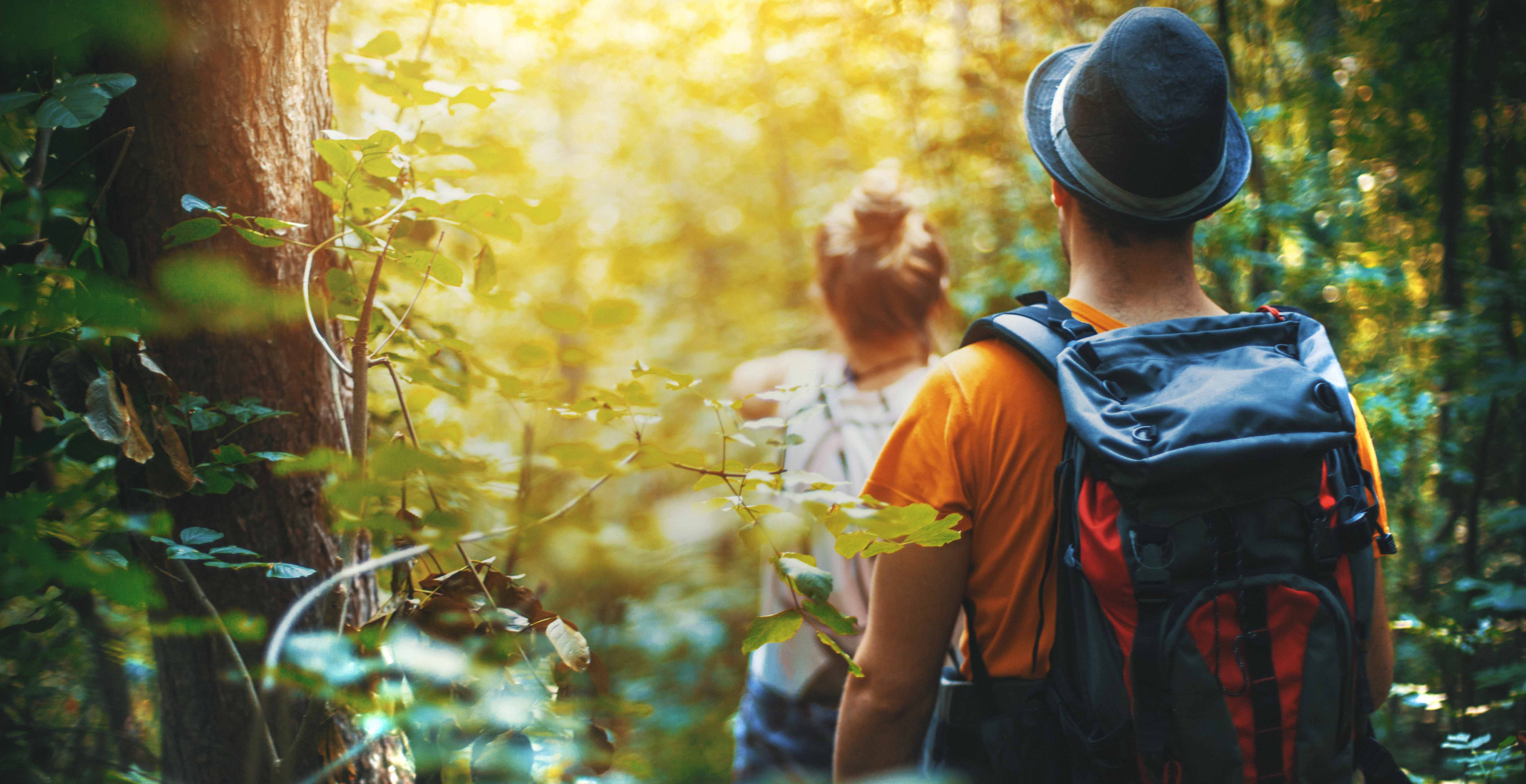 New Activities For Spring