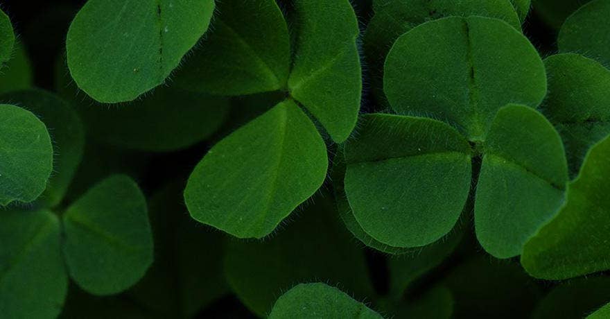 Slimmed-down St. Patrick's Day
