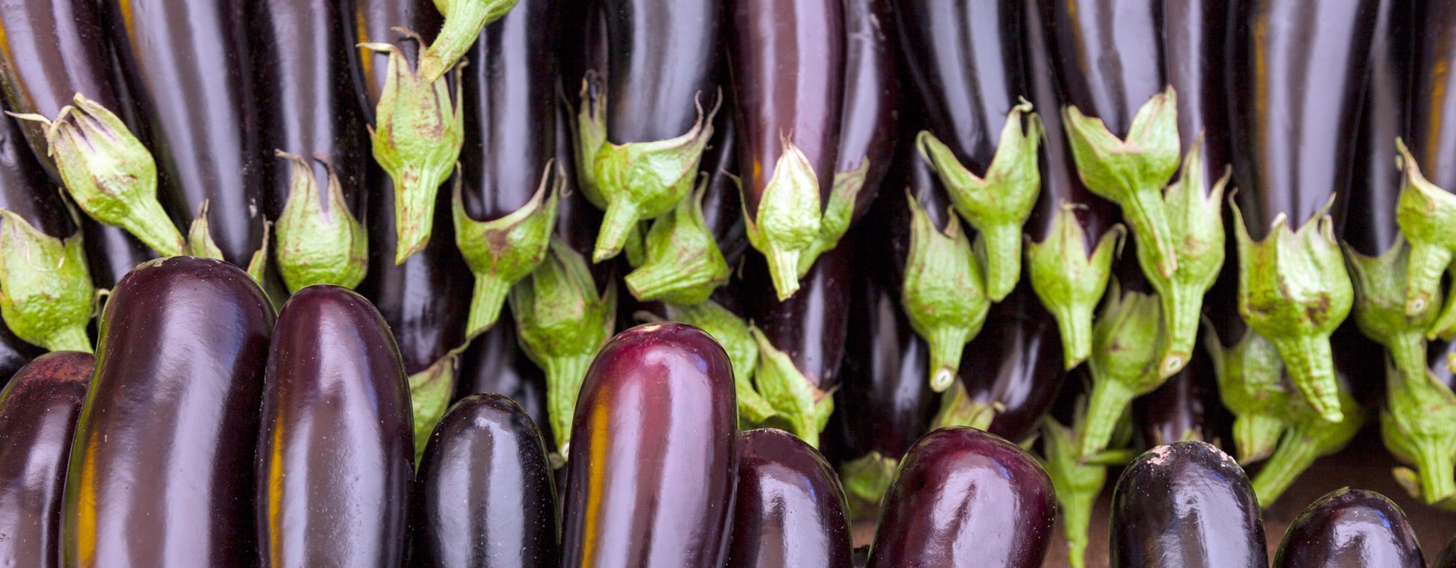 Tendre aubergine