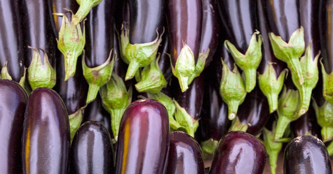 Tendre aubergine