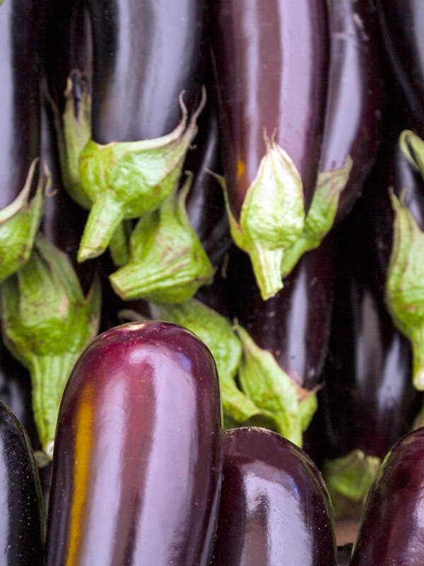 Tendre aubergine