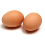 whole Egg whole Egg