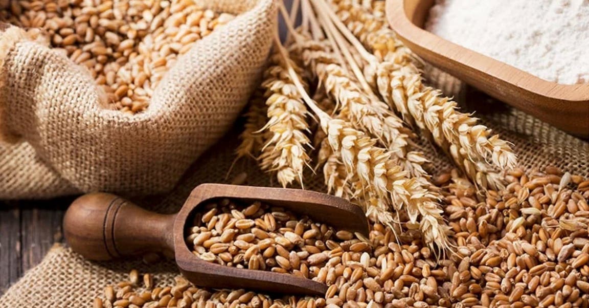 13 grains entiers à ajouter à votre alimentation