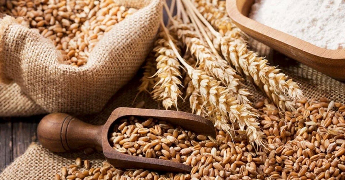 13 grains entiers à ajouter à votre alimentation