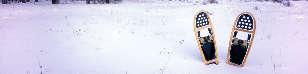 Winter Adventures