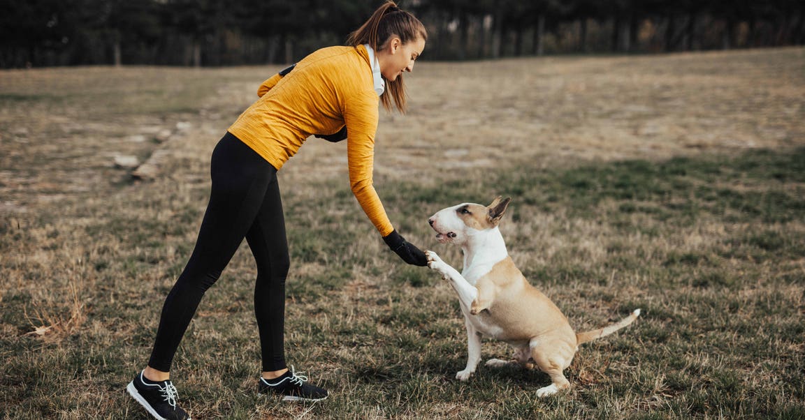 Restez en forme avec votre animal domestique