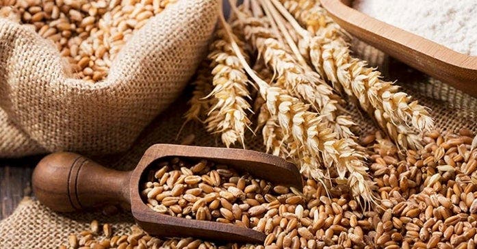 Des céréales complètes pour une alimentation équilibrée