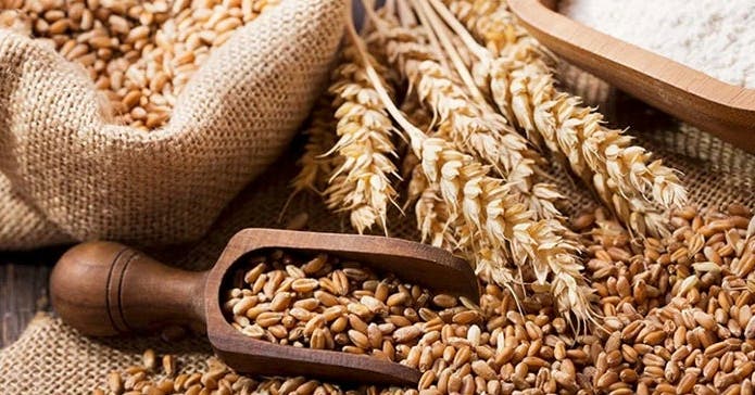 Des céréales complètes pour une alimentation équilibrée