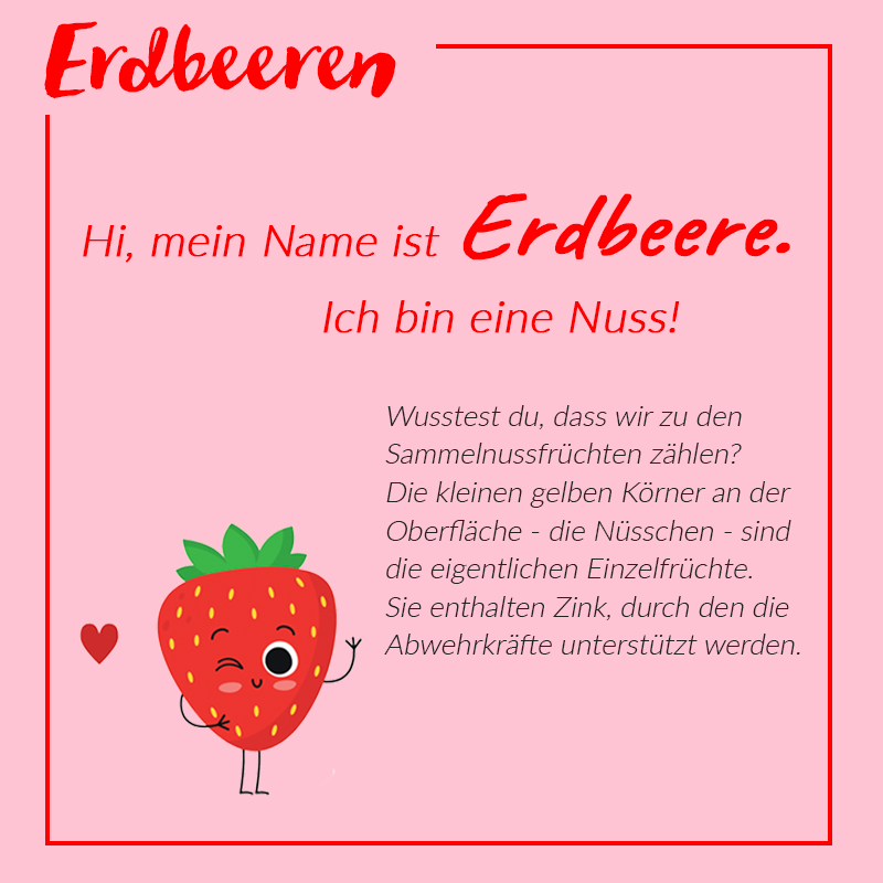 Erdbeeren Erdbeeren