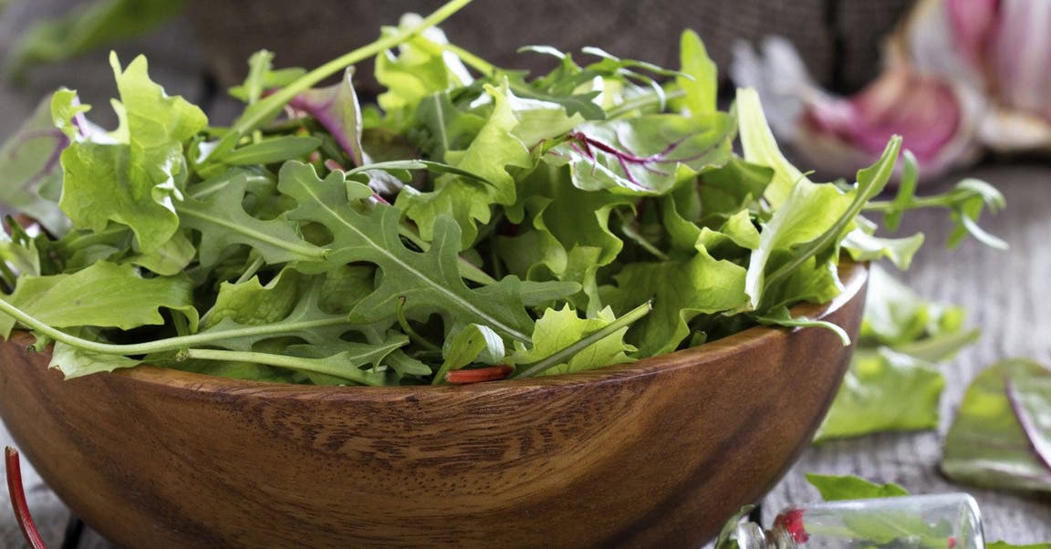 Alles über … Salat – Salatkunde