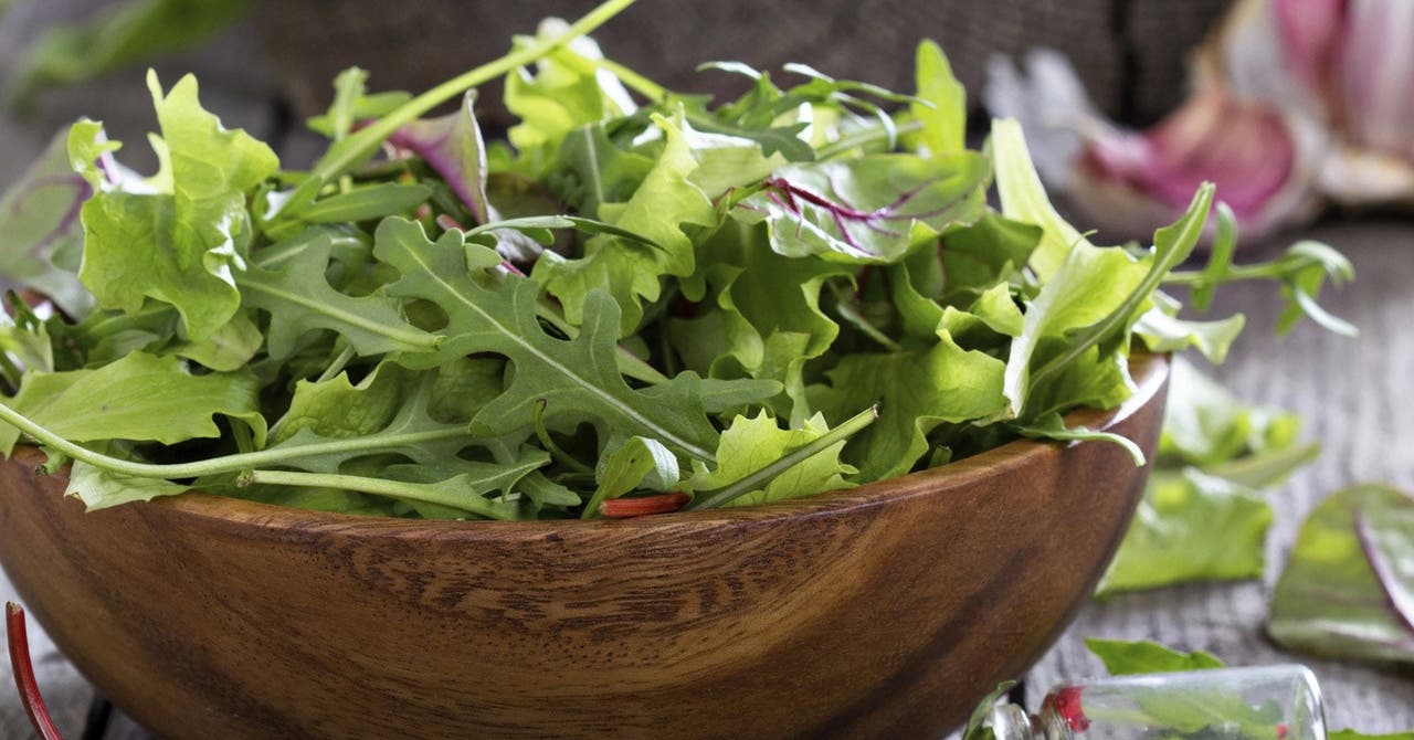 Alles über … Salat – Salatkunde