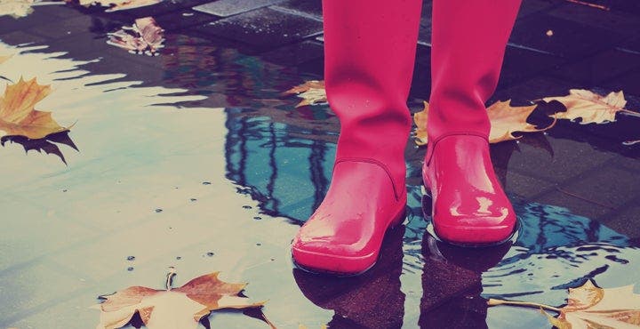 Durch den Herbst mit WW