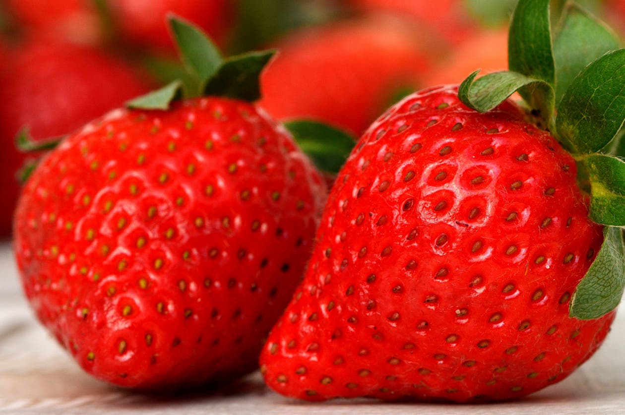 La fraise : nos meilleures idées de recettes