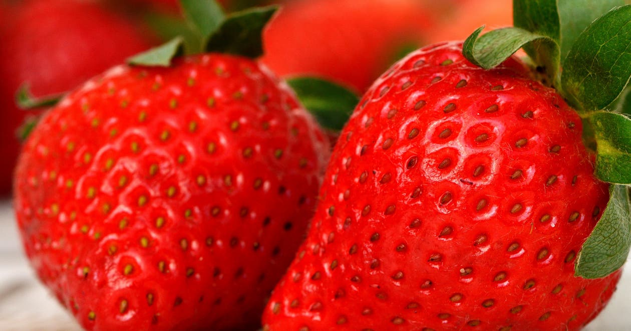 La fraise : nos meilleures idées de recettes
