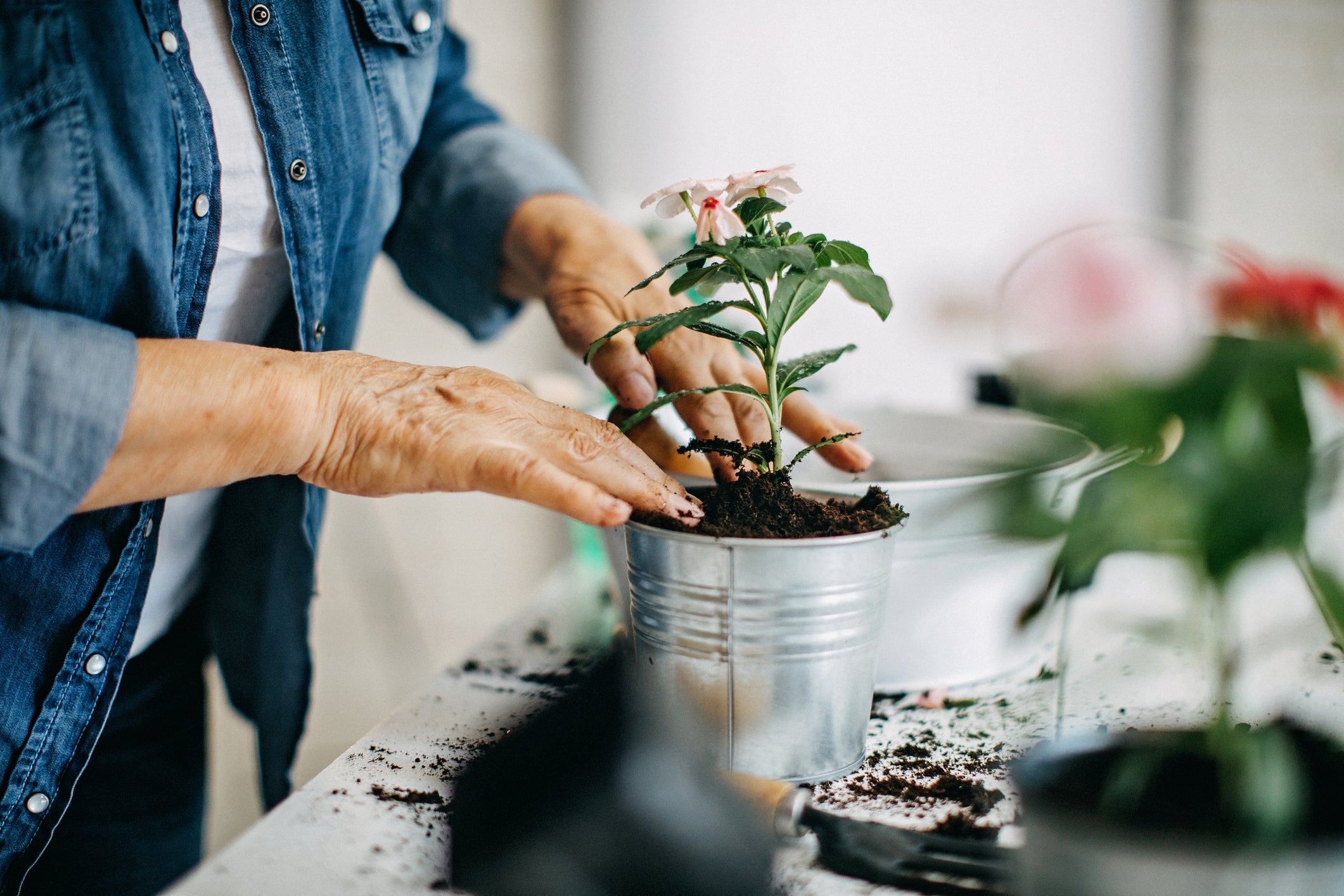 Les bienfaits du jardinage 