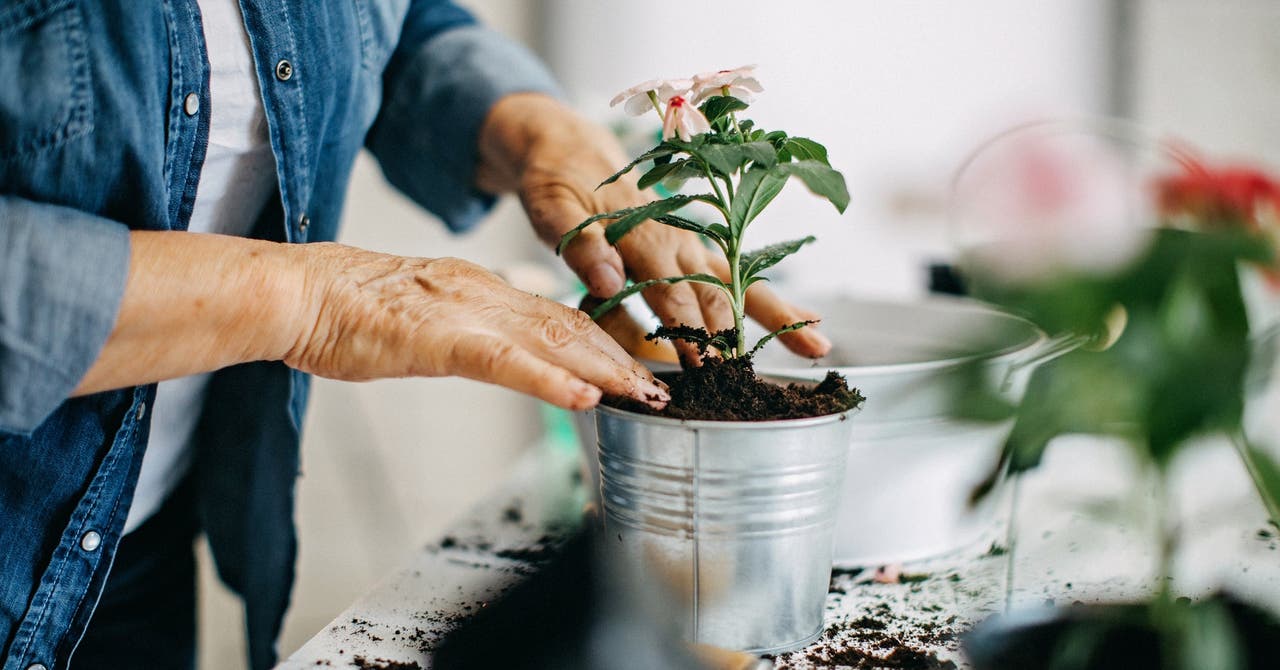 Les bienfaits du jardinage