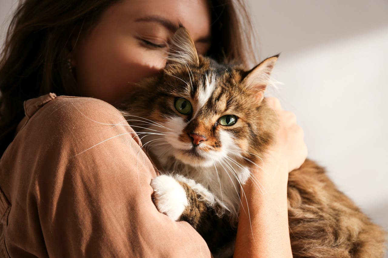 4 raisons d'avoir un animal de compagnie