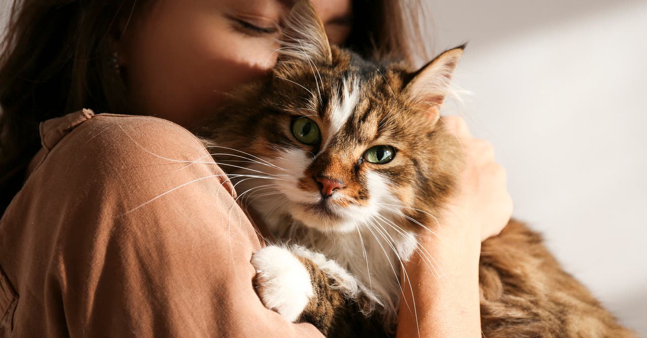 4 raisons d'avoir un animal de compagnie
