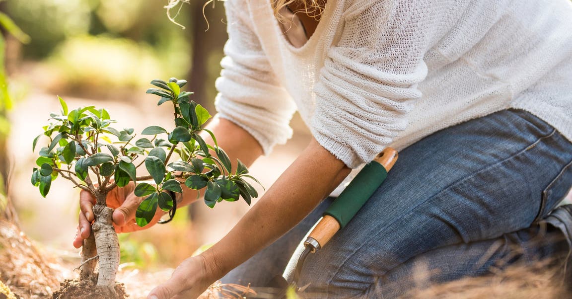 Les bienfaits insoupçonnés du jardinage