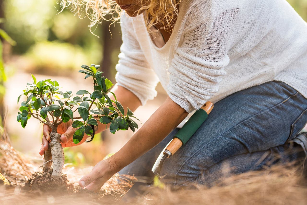 Les bienfaits insoupçonnés du jardinage