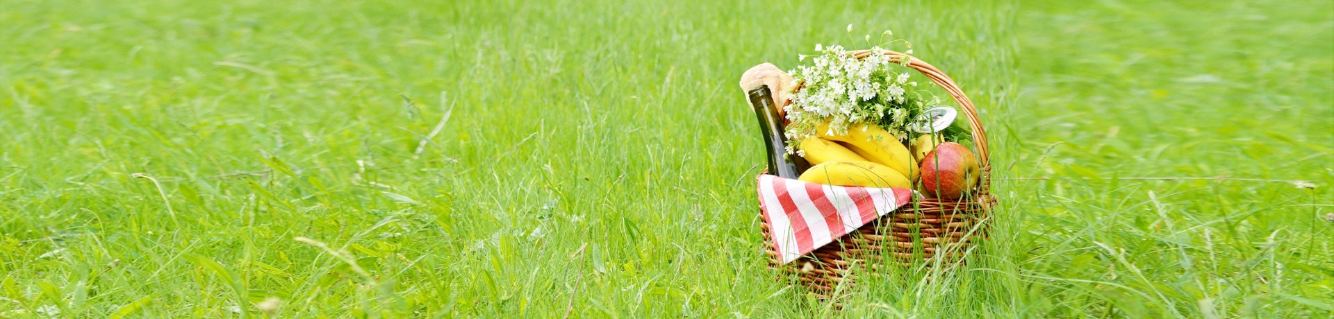 <b>C’est le moment de ressortir le panier à pique-nique !<b>