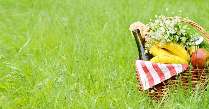 <b>C’est le moment de ressortir le panier à pique-nique !<b>