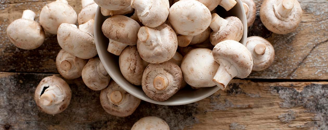 Profitez des derniers champignons de la saison !