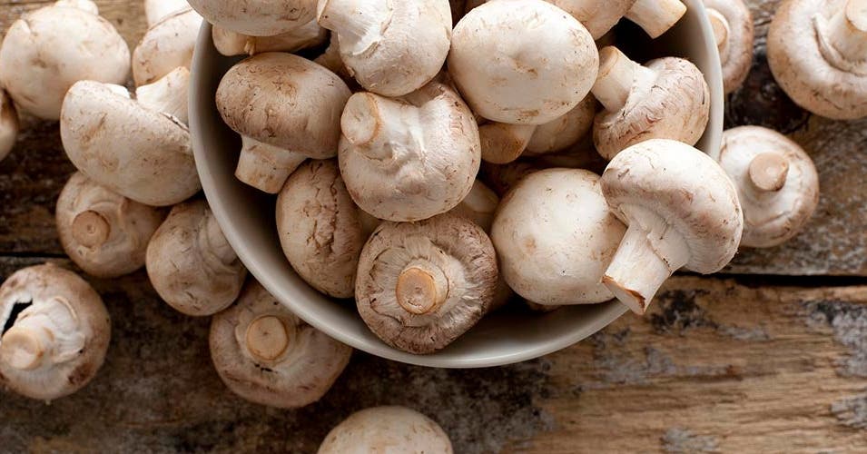 Profitez des derniers champignons de la saison !