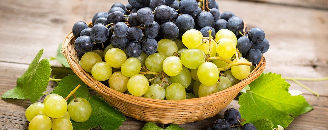Gros plan sur les raisins