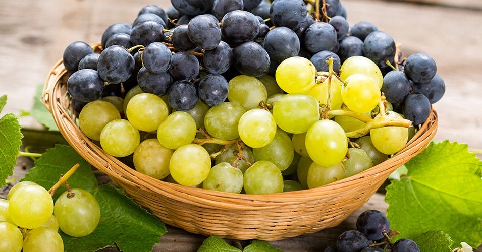 Gros plan sur les raisins