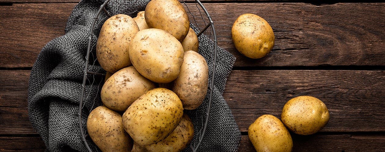 La pomme de terre à la une