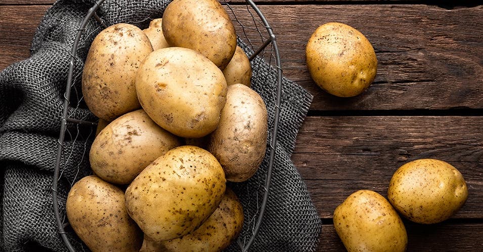 La pomme de terre à la une