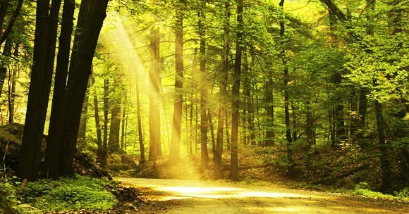 La pleine conscience, c'est quoi ?