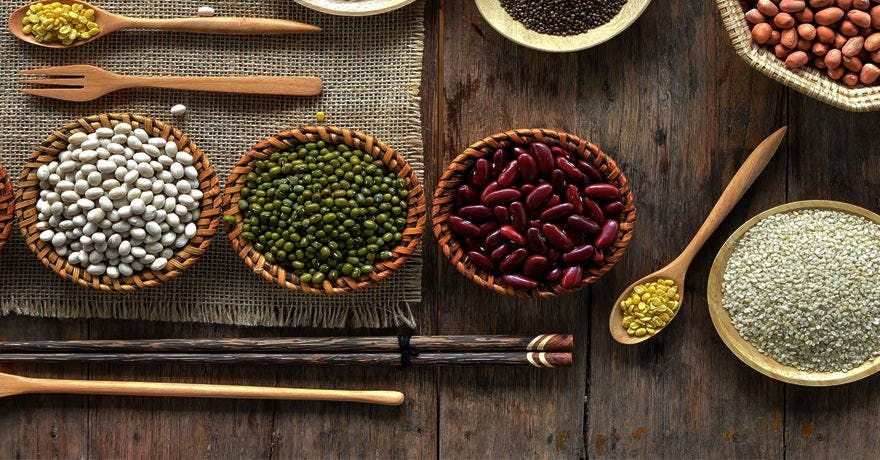 <b>Nos recettes pour faire le plein de protéines végétales<b>