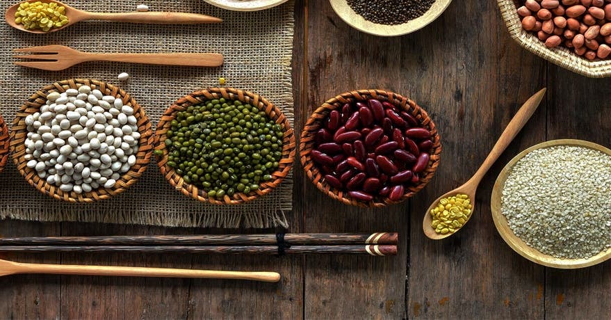 <b>Nos recettes pour faire le plein de protéines végétales<b>