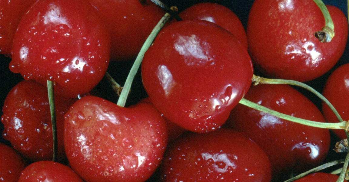 La cerise : le fruit des beaux jours