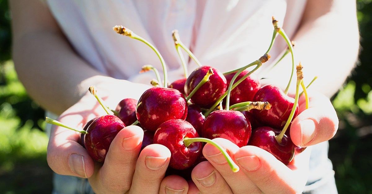 Profitez (encore) des cerises