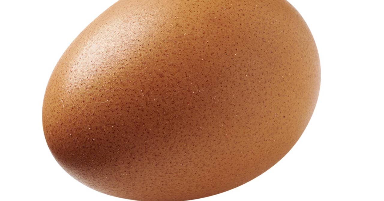 Des œufs délicieux…